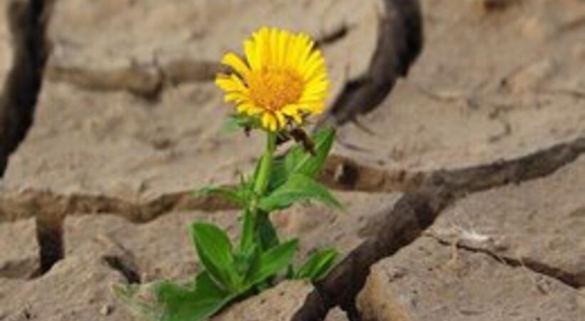 About DEVELOPMENT - The minute of mindfulness
