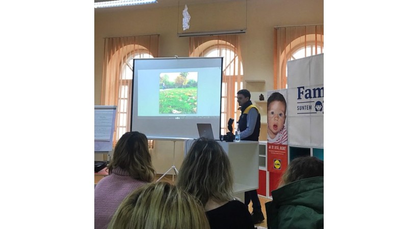 Cum poți ajunge vizibil pe Instagram în ritmul tău